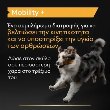 PRO PLAN® Mobility+ Συμπλήρωμα Διατροφής για Σκύλους σε Δισκία Σκόνη