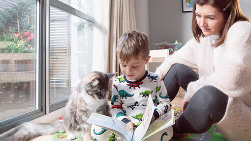 Αγόρι με γάτα που διαβάζει το βιβλίο