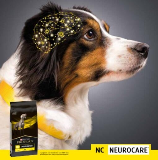 Neurocare