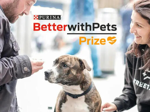 Νικητής του βραβείου Better with Pets από τη Purina