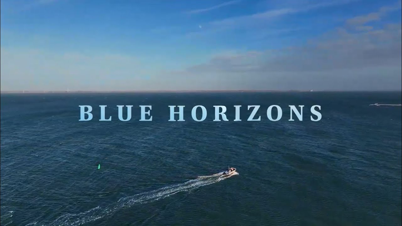 Blue Horizons & Purina